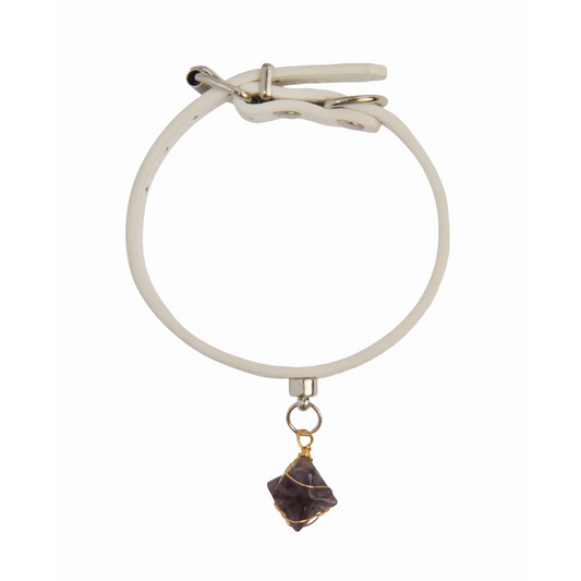 Personalized Gemstone Collar Charms for Dogs Pet Gift Hexagram Amethyst Crystal Pendant