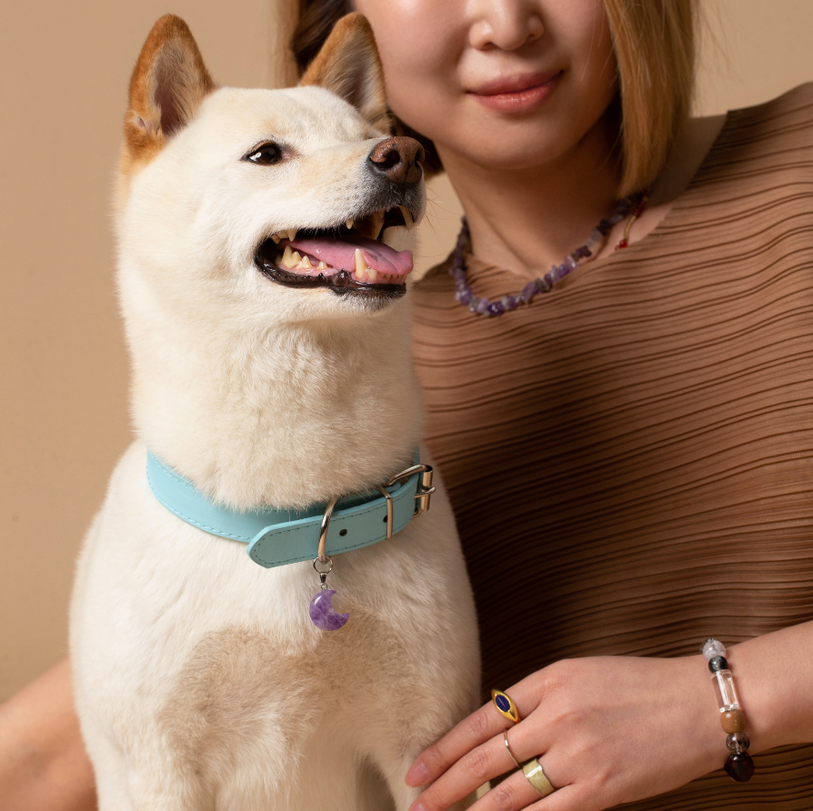 Personalized Gemstone Collar Charm for Dogs Pet Gift Moon Shape Amethyst Pendant Pet Collar