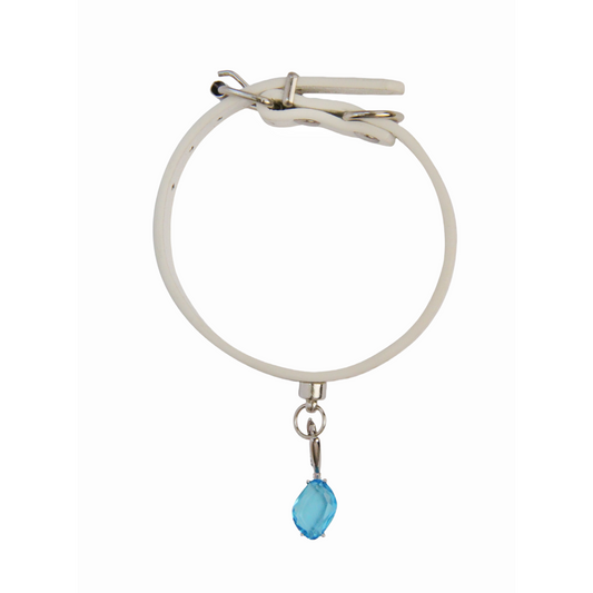 Personalized Gemstone Collar Charm for Dogs Pet Gift Life Stone Dog Collar Blue