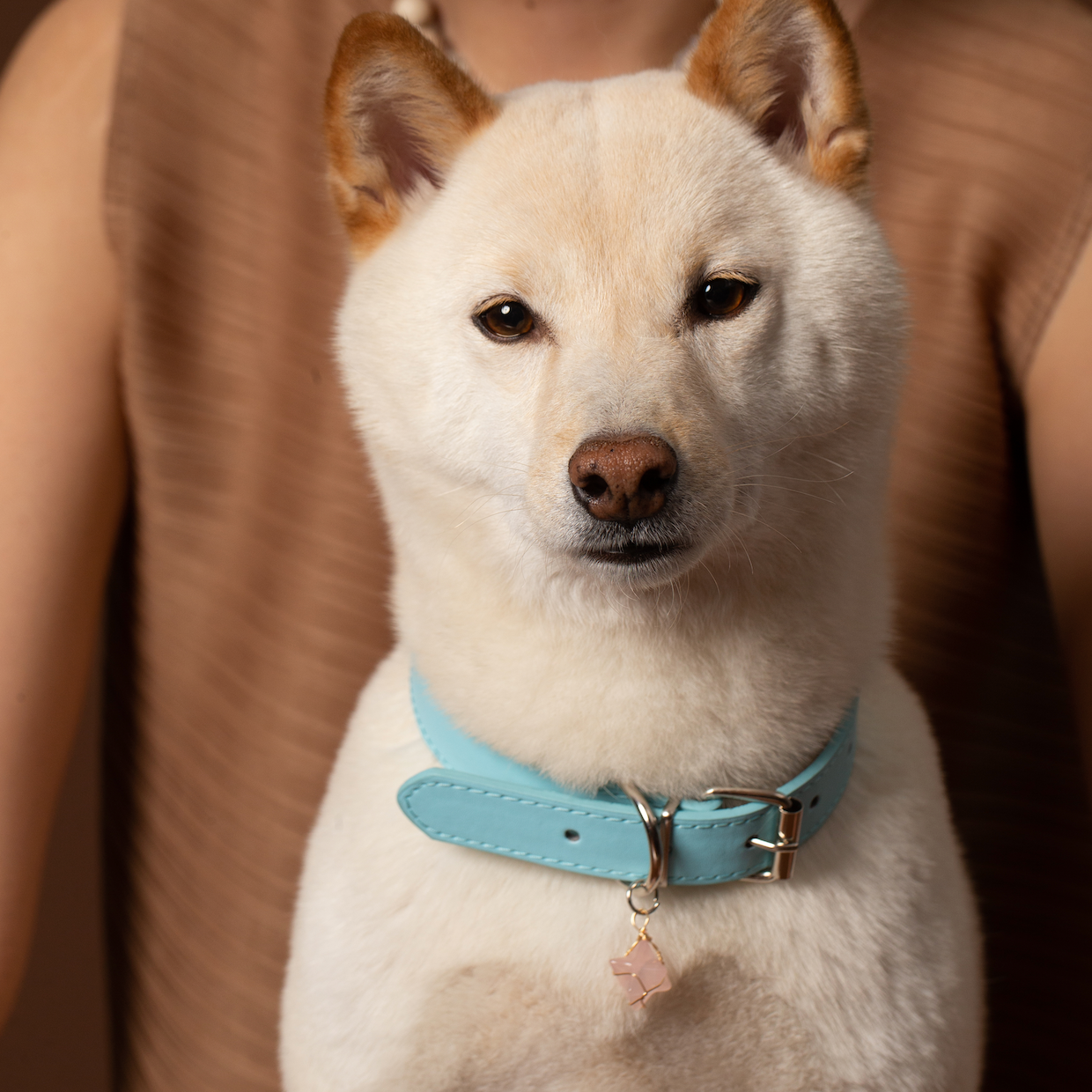 Personalized Gemstone Collar Charms for Dogs Pet Gift Hexagram Rose Quartz Pendant