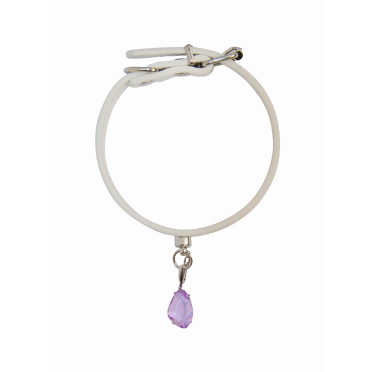Personalized Gemstone Collar Charms for Dogs Pet Gift Life Stone Dog Collar Violet