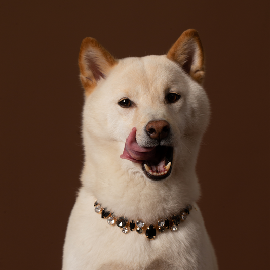 Gemstone Collar Charms Necklace for Dogs Pet Gift Life Stone Dog Collar - Black