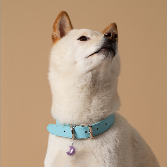 Personalized Gemstone Collar Charm for Dogs Pet Gift Moon Shape Amethyst Pendant Pet Collar