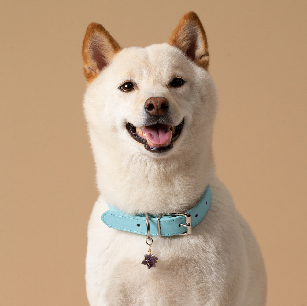 Personalized Gemstone Collar Charms for Dogs Pet Gift Hexagram Amethyst Crystal Pendant