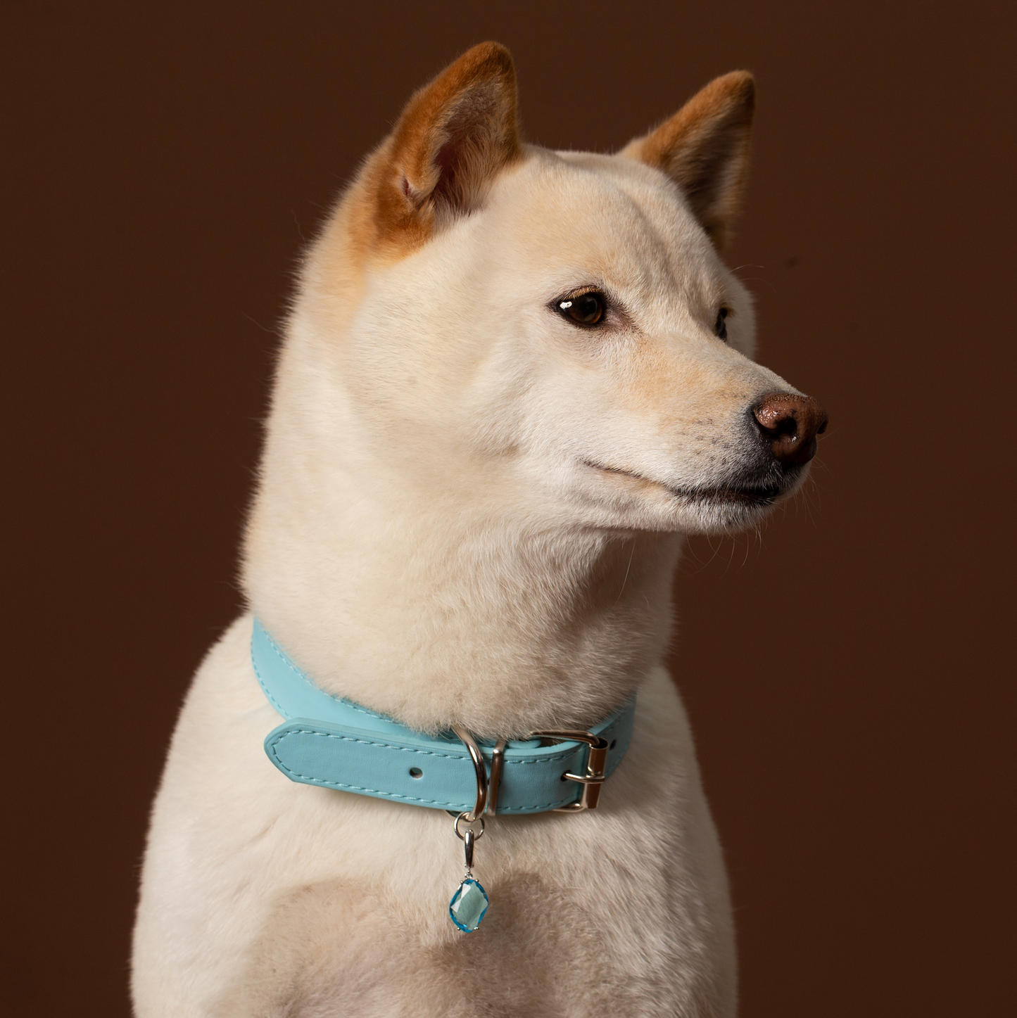 Personalized Gemstone Collar Charm for Dogs Pet Gift Life Stone Dog Collar Blue