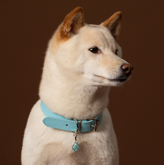 Personalized Gemstone Collar Charm for Dogs Pet Gift Life Stone Dog Collar Blue